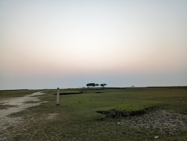 Photo sunset at the sea with grass and trees in the foreground