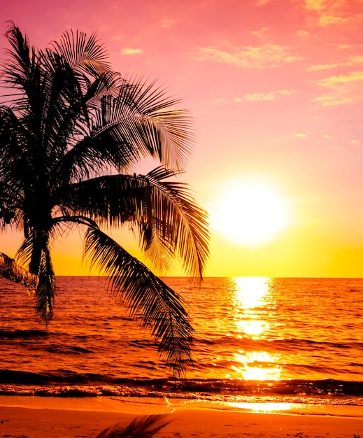Sunset over the sea with palm trees on the tropical sea beach background for travel in holiday relax time