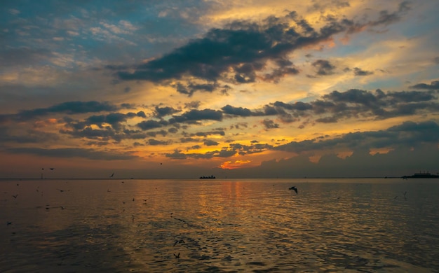 Photo sunset and seagull at bangpoo