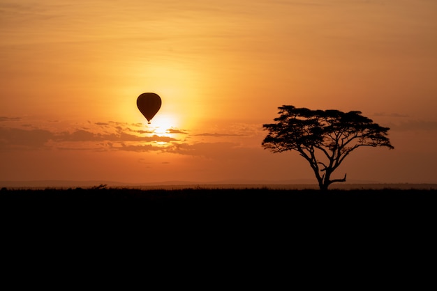 Tramonto nel serengeti