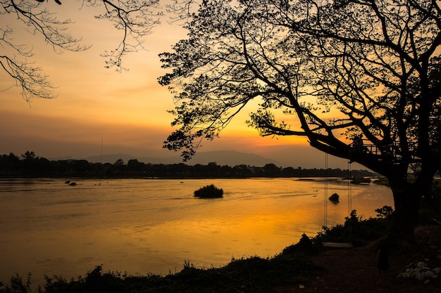 Sunset silhouette with river and trees