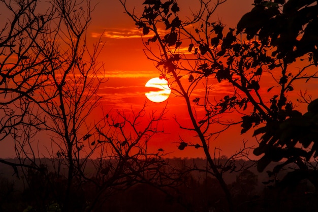 夕焼け空の背景