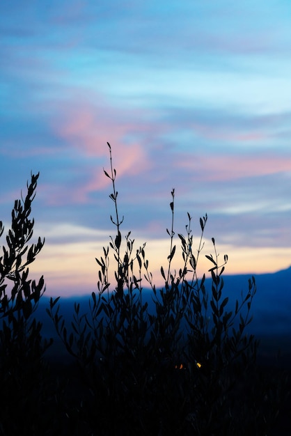 Foto cielo al tramonto sul paesaggio montano