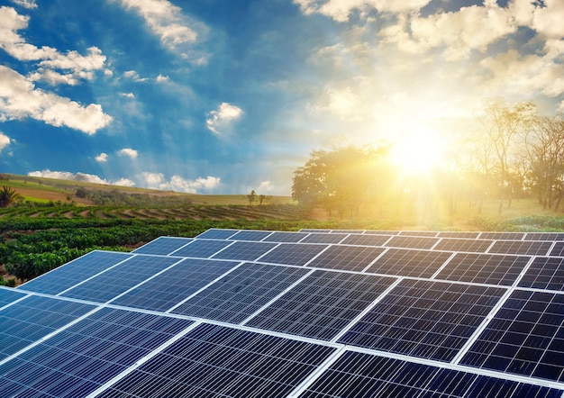 Sunset over Solar energy Farm plant