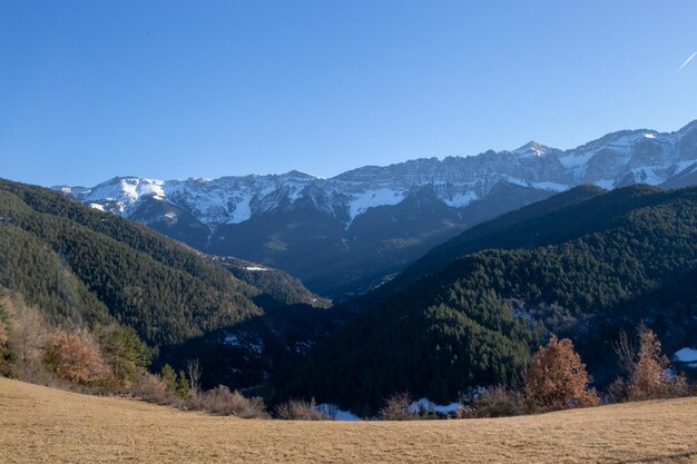 Sunset in some snowy mountains surrounded by pine forests