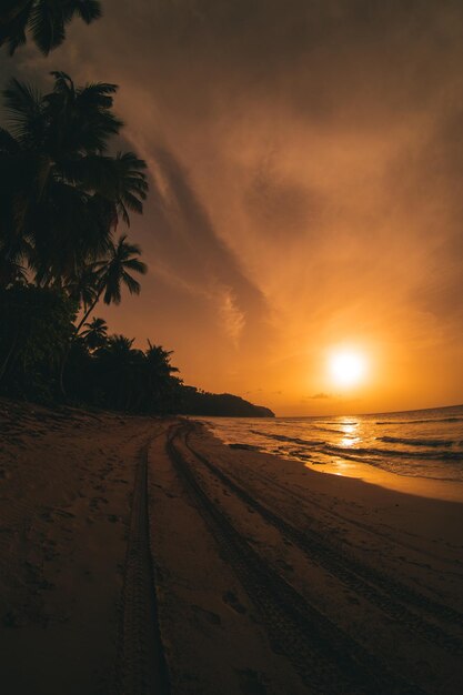 カリブ海のビーチで夕暮れと日の出