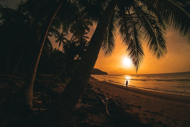 Foto il tramonto e l'alba sulla spiaggia dei caraibi