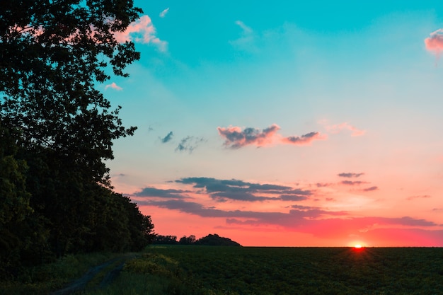 Sunset sunrise over field or meadow. Bright dramatic sky and dark ground. Countryside landscape under scenic colorful sky at sunset dawn sunrise.