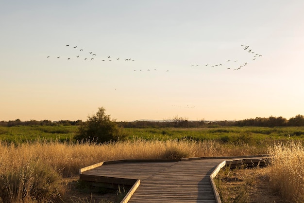 Sunset in the tables Daimiel Ciudad Real Spain