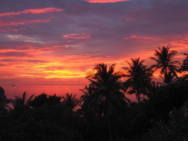 Foto tramonto in un'isola tailandese con le palme