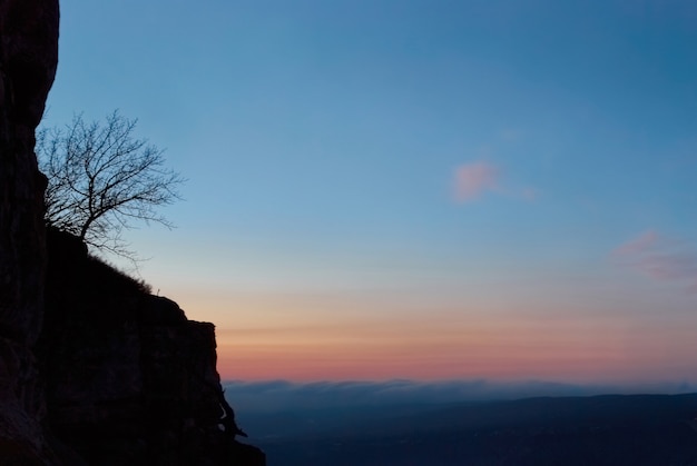 Sunset and tree above the sea of clouds with blue sky