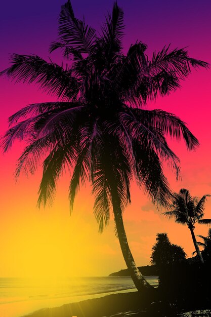 Sunset on tropical beach with palms