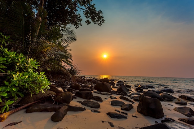 Sunset on a tropical beach