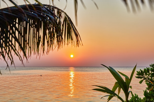 インド洋の熱帯の島に沈む夕日。モルディブ。