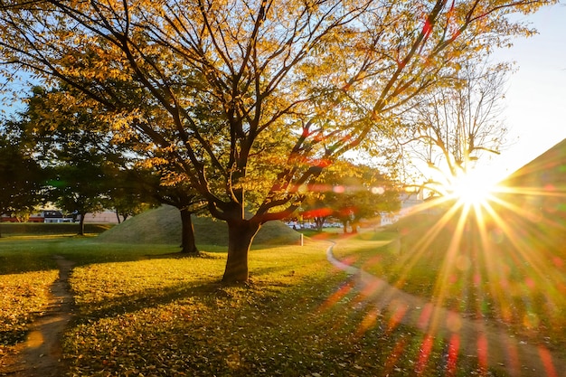 Tramonto al parco dei tumuli