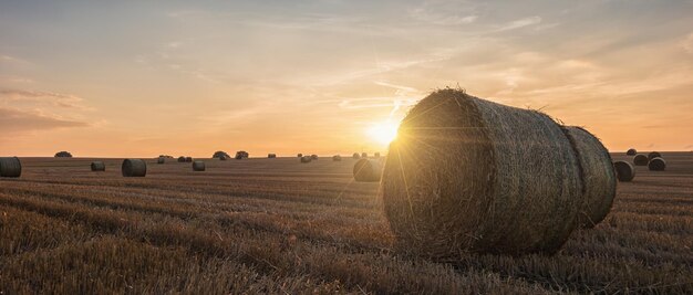 Sunset view over a field with hay bales and sunlight . ideal for websites and magazines layouts