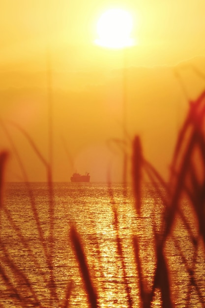 Foto la vista del tramonto sul mare