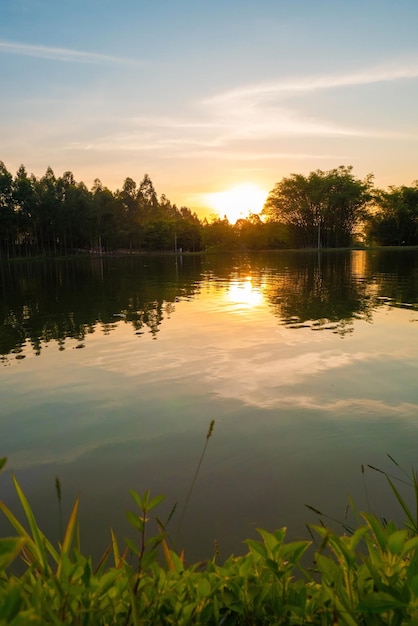 木々と空が湖に映る夕日の景色