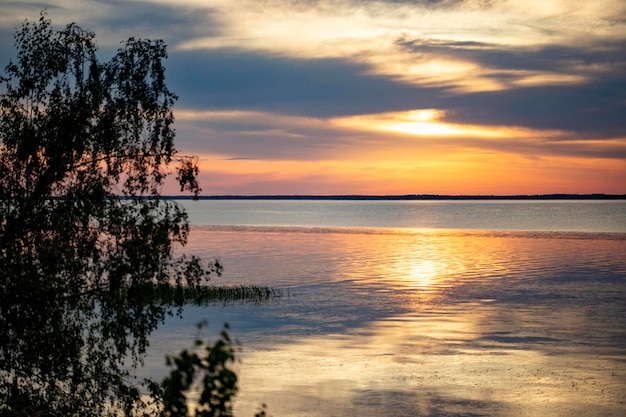 A sunset over the water with a tree in the foreground