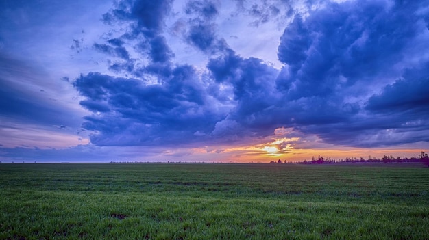 Sunset over wheat field blue sky and sun over the field