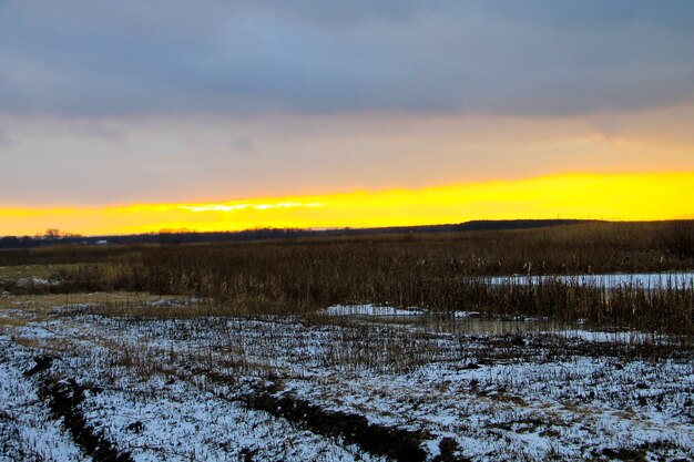 Sunset on the winter meadow