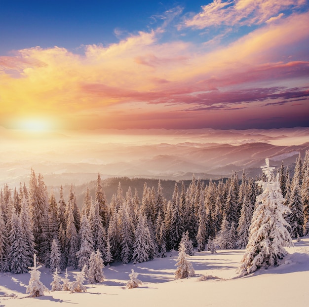 Sunset in the winter mountains. Carpathian Ukraine Europe