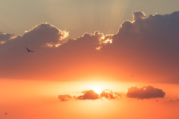 美しい太陽光線と夕日。