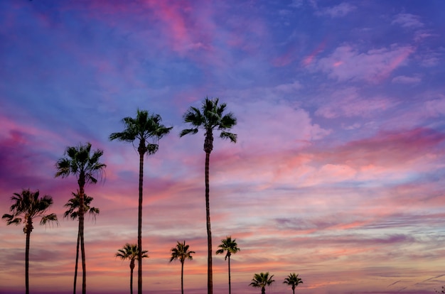 Foto tramonto con le alte palme della california