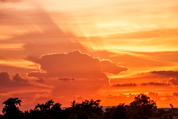 A sunset with a dog silhouette in the clouds