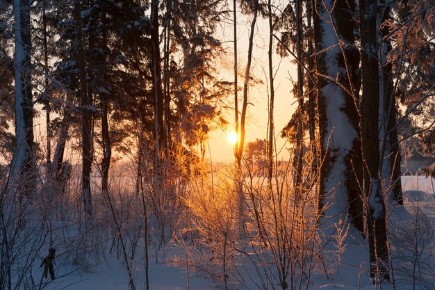 Sunset with orange shades in the winter season