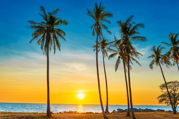 Tramonto con palme sulla spiaggia