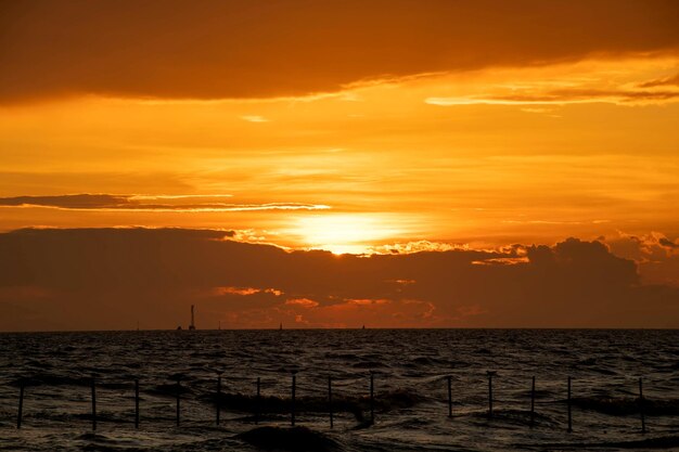 Sunset with seagulls flying nice view at bangpu recreation center samut prakan thailand