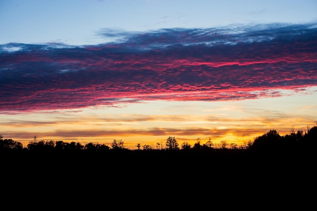 Tramonto con la sagoma del bosco