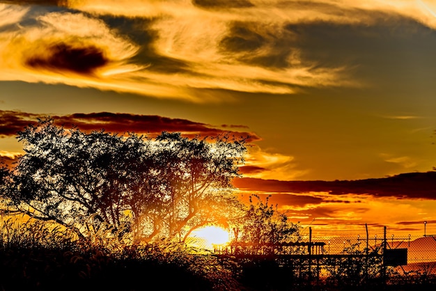 a sunset with a tree and a bridge in the background