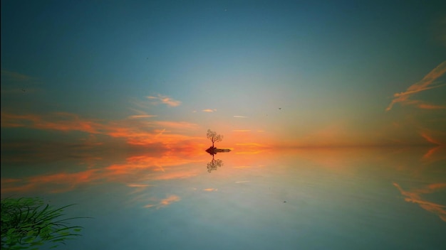 A sunset with a tree in the foreground and a blue sky with the sun setting behind it.