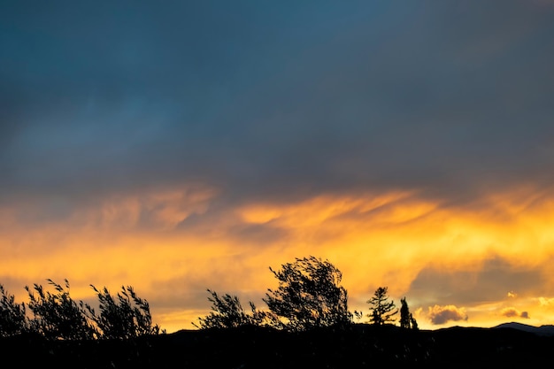 Photo a sunset with a tree in the foreground and a mountain in the background