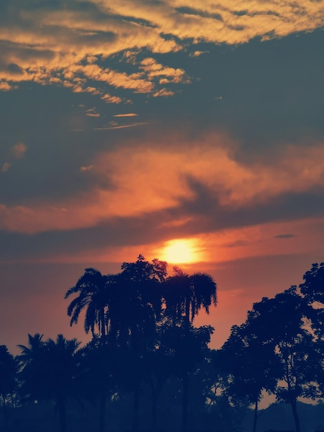 前景に木がある夕日