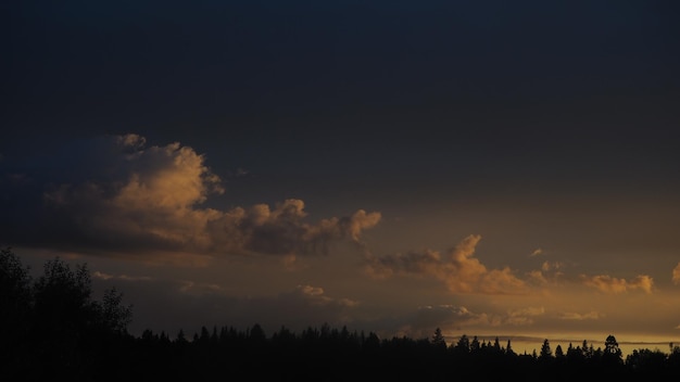 空を背景にシルエットの木と夕日