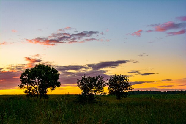 A sunset with trees in the foreground and a sky with clouds in the background.