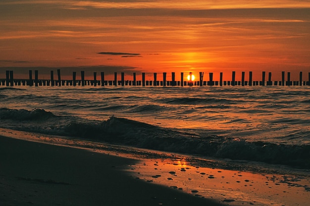 ツィングストの海の夕日 赤いオレンジ色の太陽が地平線に沈む 空のカモメの円