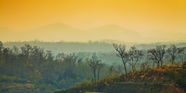 Sunsets over mountain and meadow