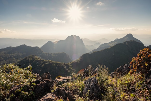 Sunshine over mountain range in wildlife sanctuary