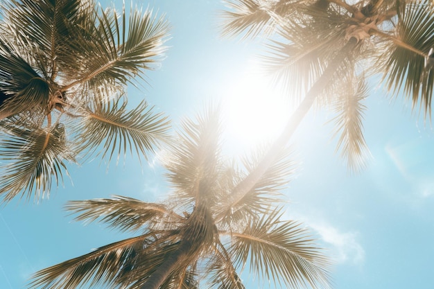 Sunshine State of Mind Palm Tree Portrait