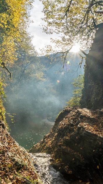 Sunshining in autumn forest. Smoke in the air and river in frame. Sochi, Russia.