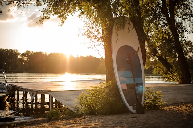 Sup board staande in de buurt van de boom op het meer op de zonsondergang