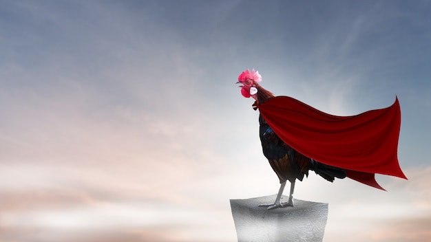 Super hero Brown rooster perched on the rocky mountain