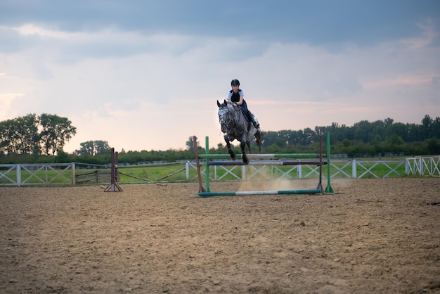 Super slow motion van een vrouwelijke jockey springt over de barrières op een paard