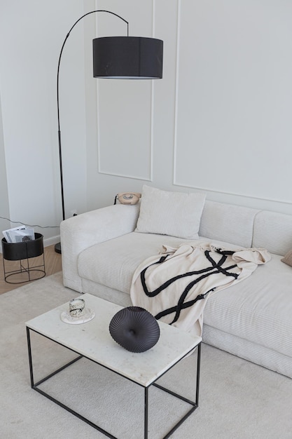 Super white simple clean and stylish interior with modern furniture in nude color and contrasting black elements luxury design of a large bright room living room