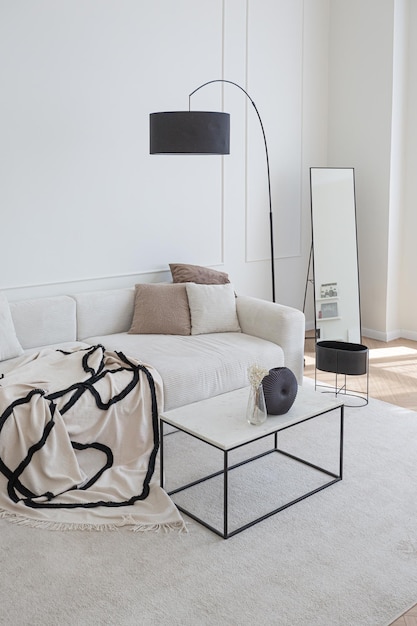 Super white simple clean and stylish interior with modern furniture in nude color and contrasting black elements luxury design of a large bright room living room