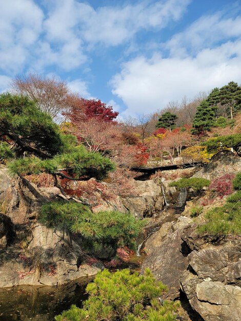 Superb view of the arboretum